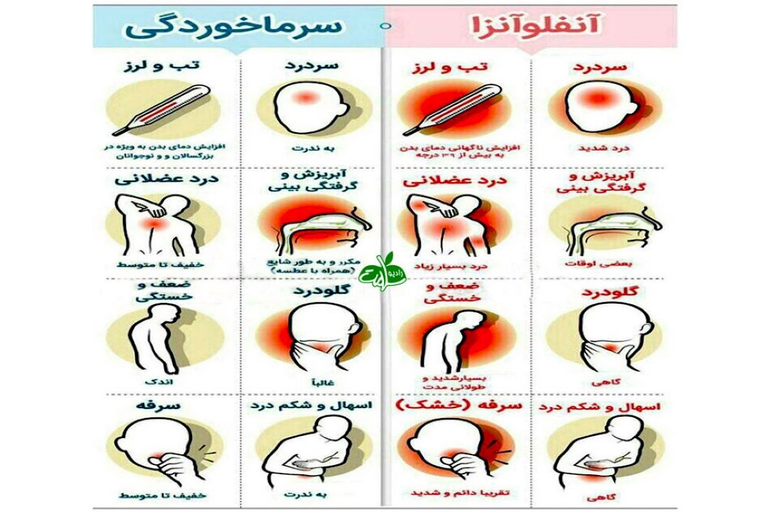 علائم آنفولانزا و سرما خوردگی را بشناسیم