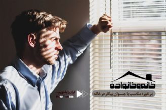 چطور با جوان بیكار در خانه برخورد كنیم؟