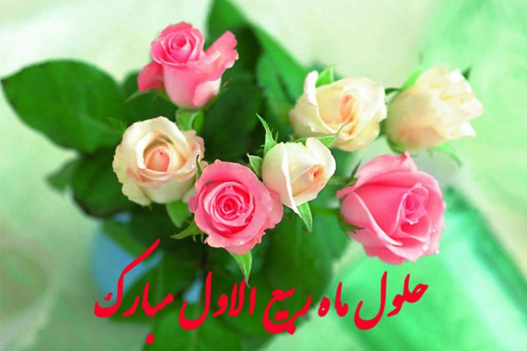 ماه ربیع