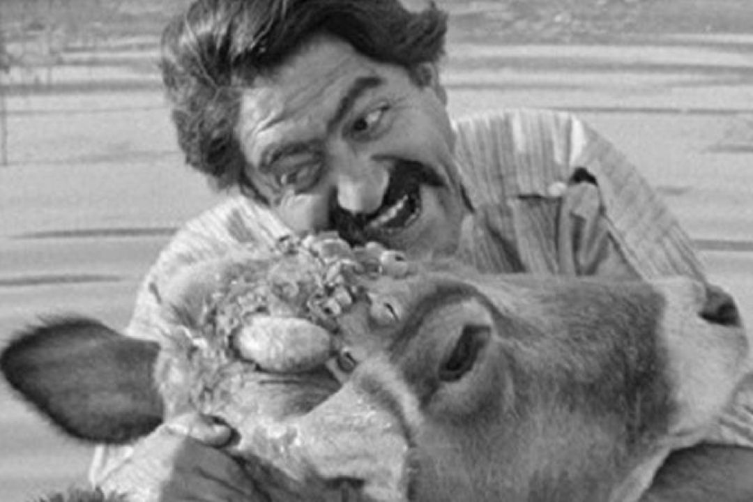 سینمای پس از انقلاب 