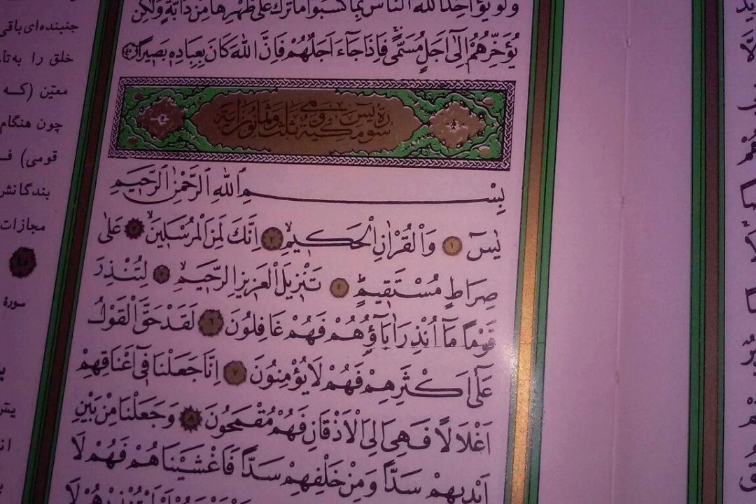  "به رنگ سپیده" در 95/11/15