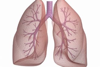 بررسی موردی بیماری های ریه در 