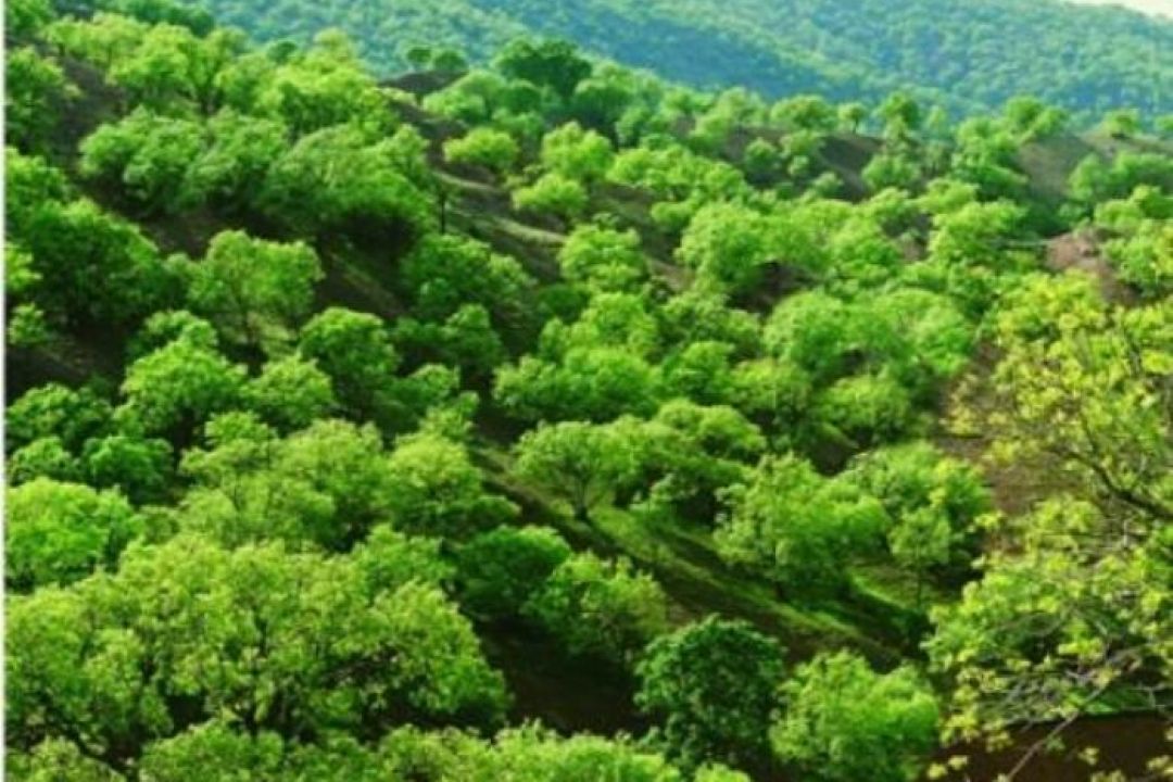 جاذبه گردشگری شهرستان كلیبر 