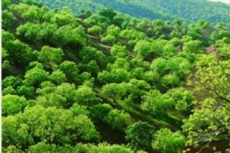 جاذبه گردشگری شهرستان كلیبر 