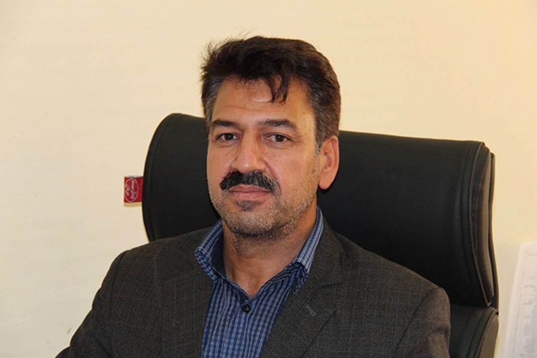 قاچاق دام عامل گرانی گوشت قرمز