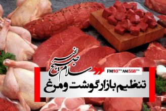 گوشت های وارداتی، روزانه در تهران و 15 روز یكبار در شهرستانها توزیع می شود