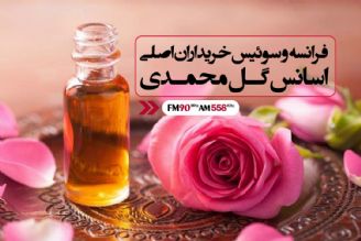 فرانسه و سویس خریدار اصلی اسانس گل محمدی هستند