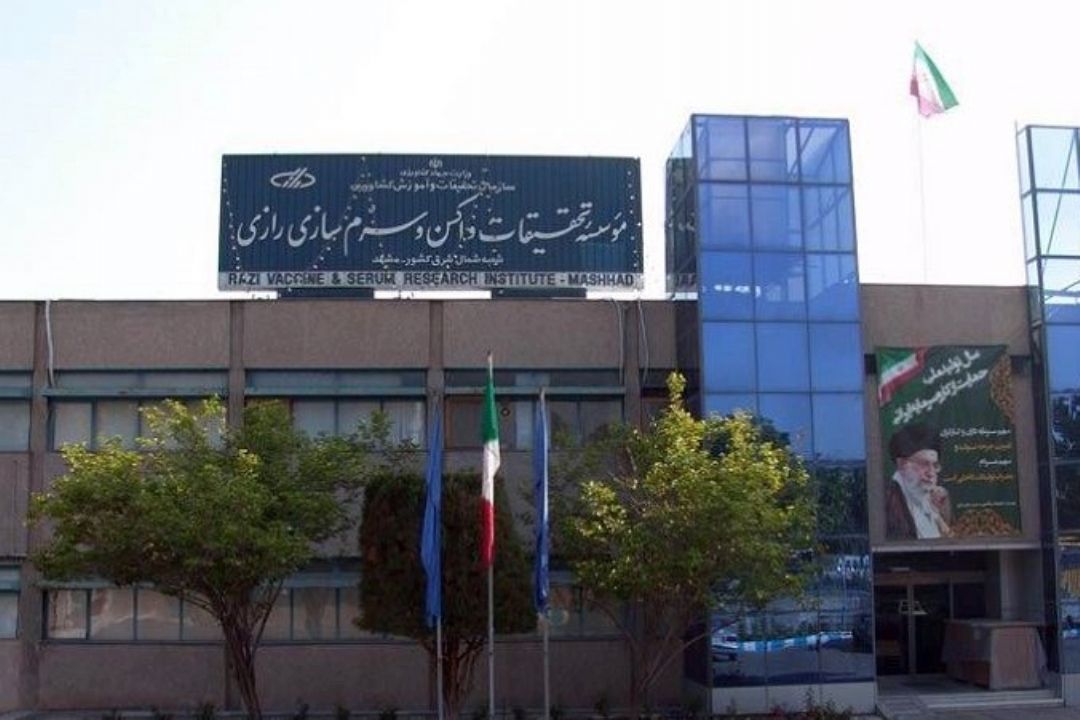 منهای نفت، پادزهر سازی