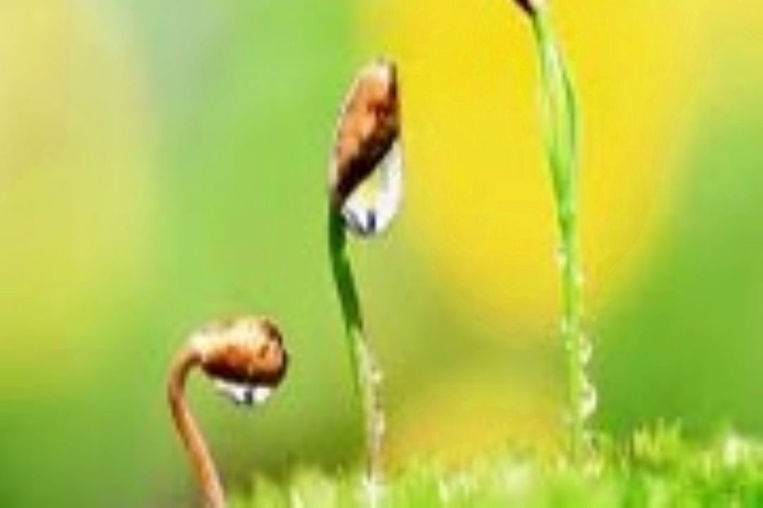 بی زحمت بیایید باهم بی زحمت گوش كنیم 