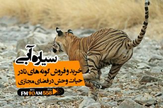 خرید و فروش گونه های كمیاب حیات وحش در فضای مجازی