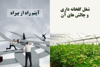 نگاهی به شغل گلخانه داری و چالش های آن