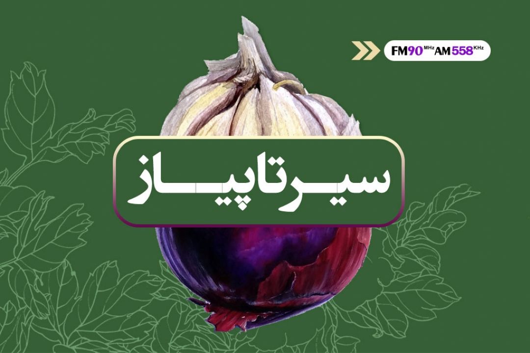 سیر تا پیاز