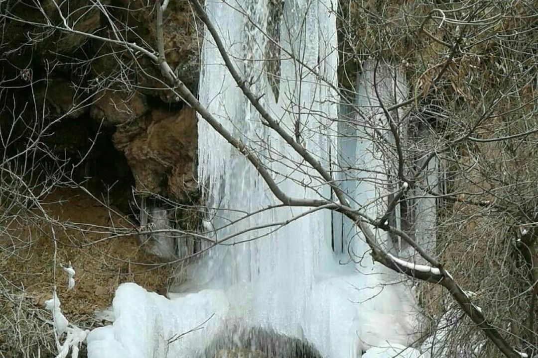 روستای حیدر باغی