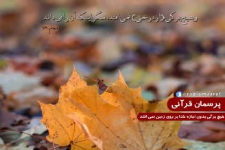 هیچ برگی بدون اجازه خدا بر روی زمین نمی افتد