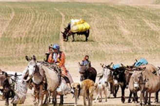 بررسی مردم شناسی كوچ بهاره و آواها و نواهای بومی