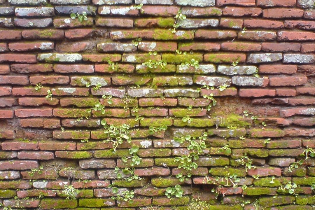 گزینه های روی میز 