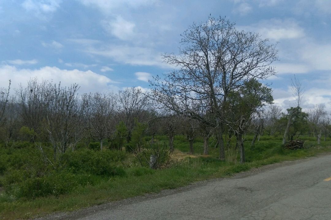 طبیعت روستای خاوه اردهال كاشان