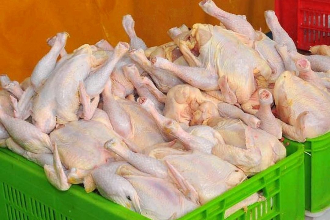 مرغ سبز یا مرغ معمولی كدامیك؟