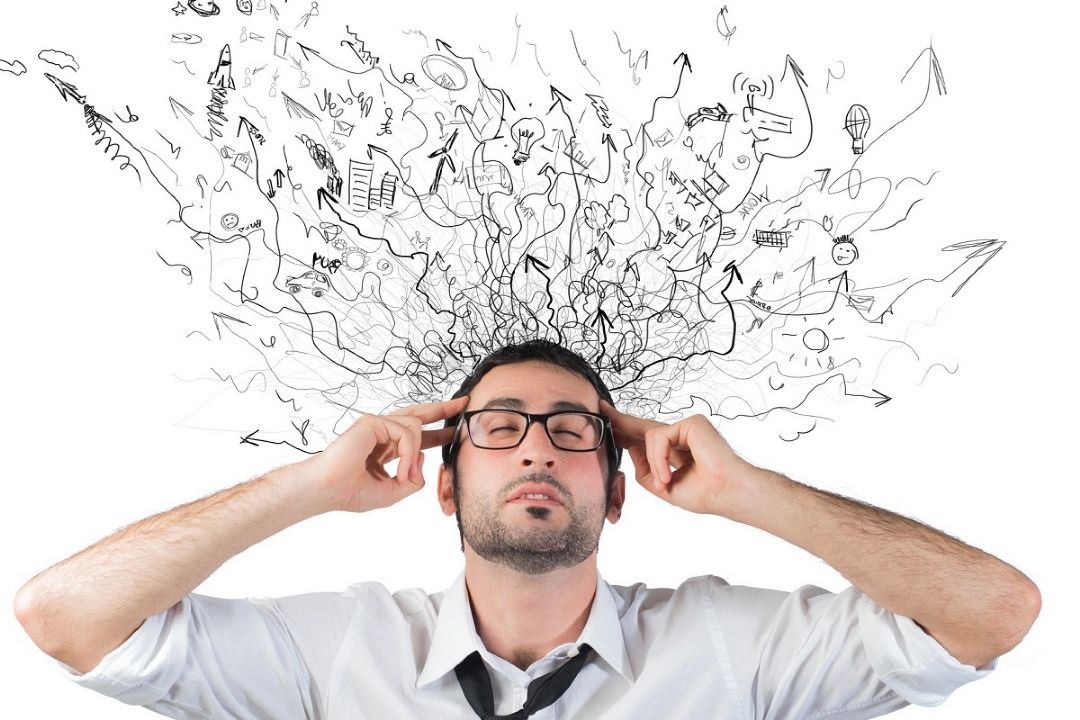 كمبود حافظه بین موجودات زنده