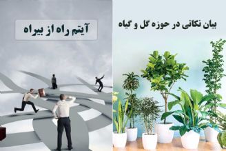 بیان نكاتی در حوزه گل و گیاه