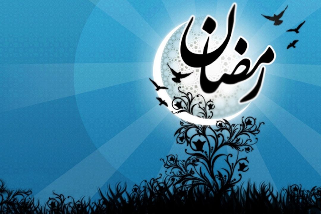 نگاهم را پرواز می دهم...
