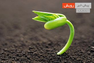 اهمیت زمان بندی و نوبت كاری كاركنان در كسب و كار 