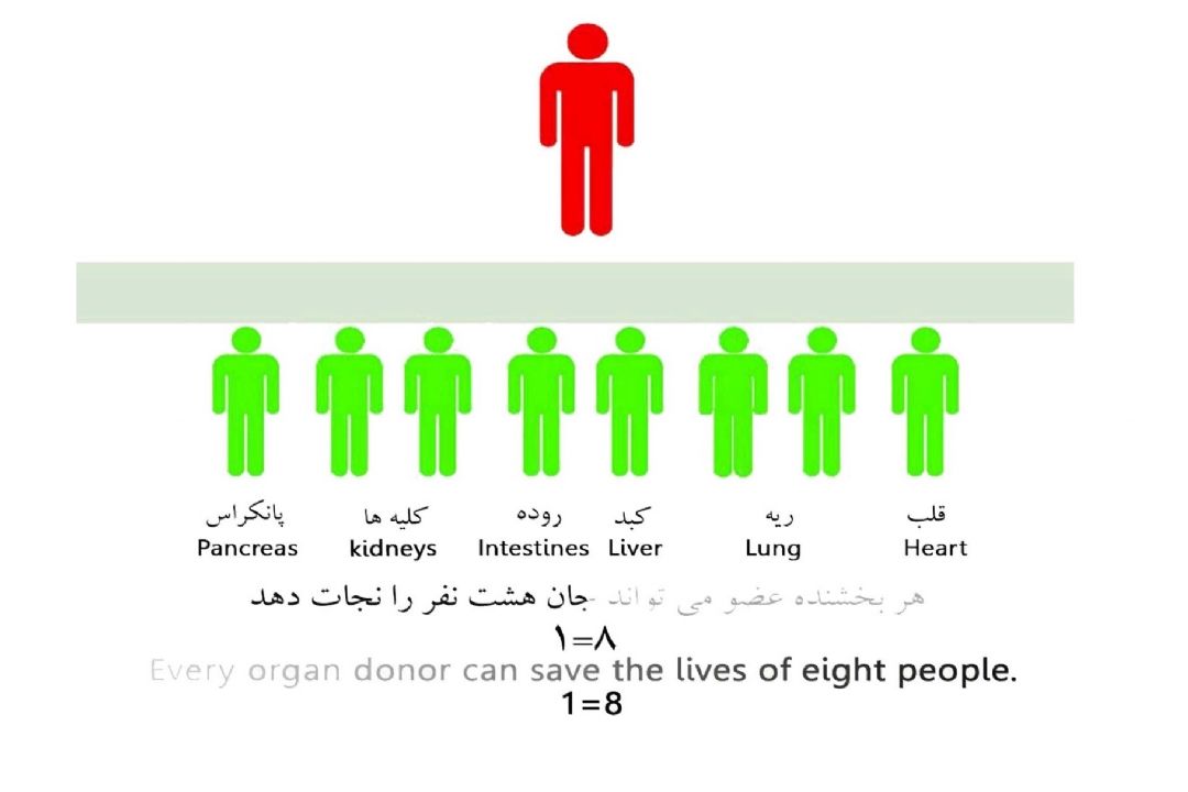 اهدای عضو اهدای زندگی 