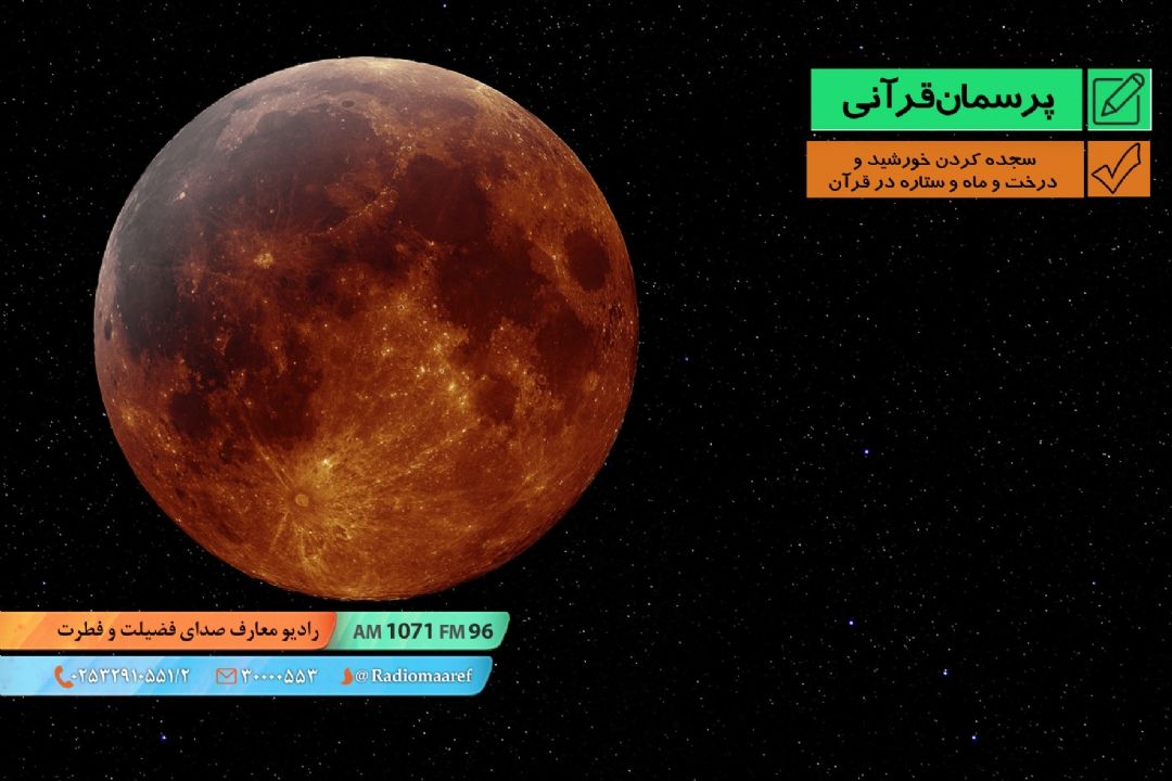 سجده كردن خورشید و درخت و ماه و ستاره در قرآن