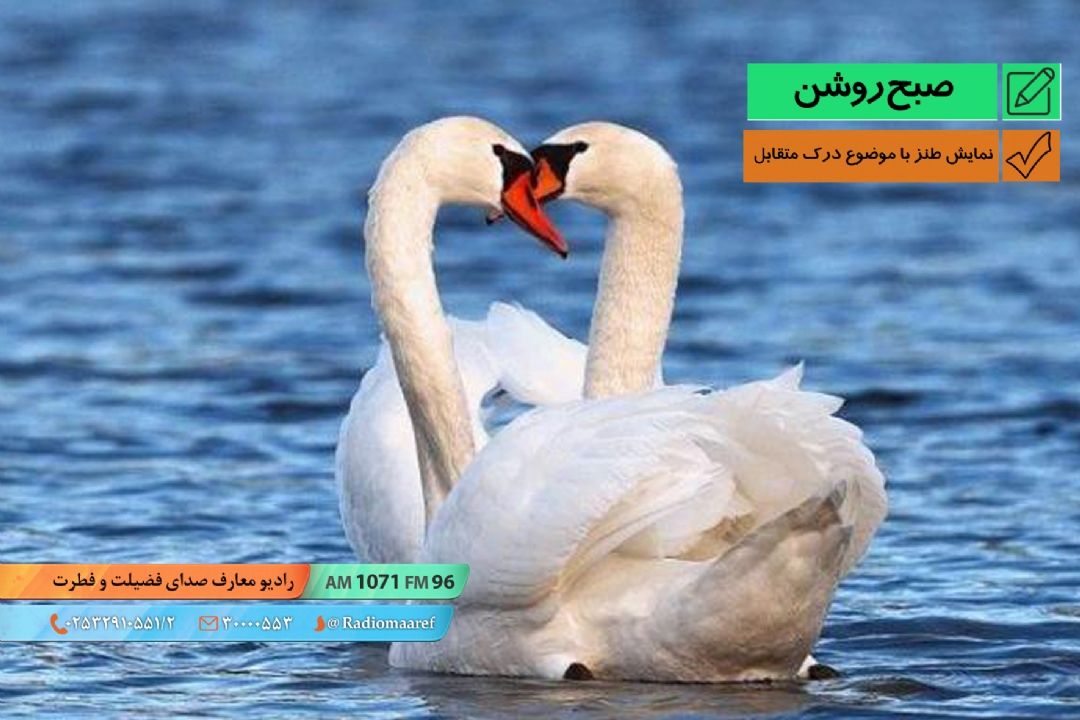 نمایش طنز با موضوع درك متقابل