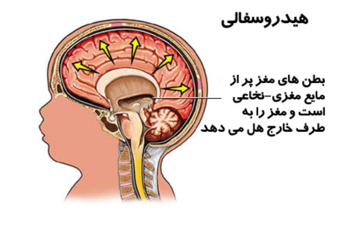 نبض 96/02/02