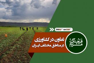 تعاون جلوه زیبای زندگی 