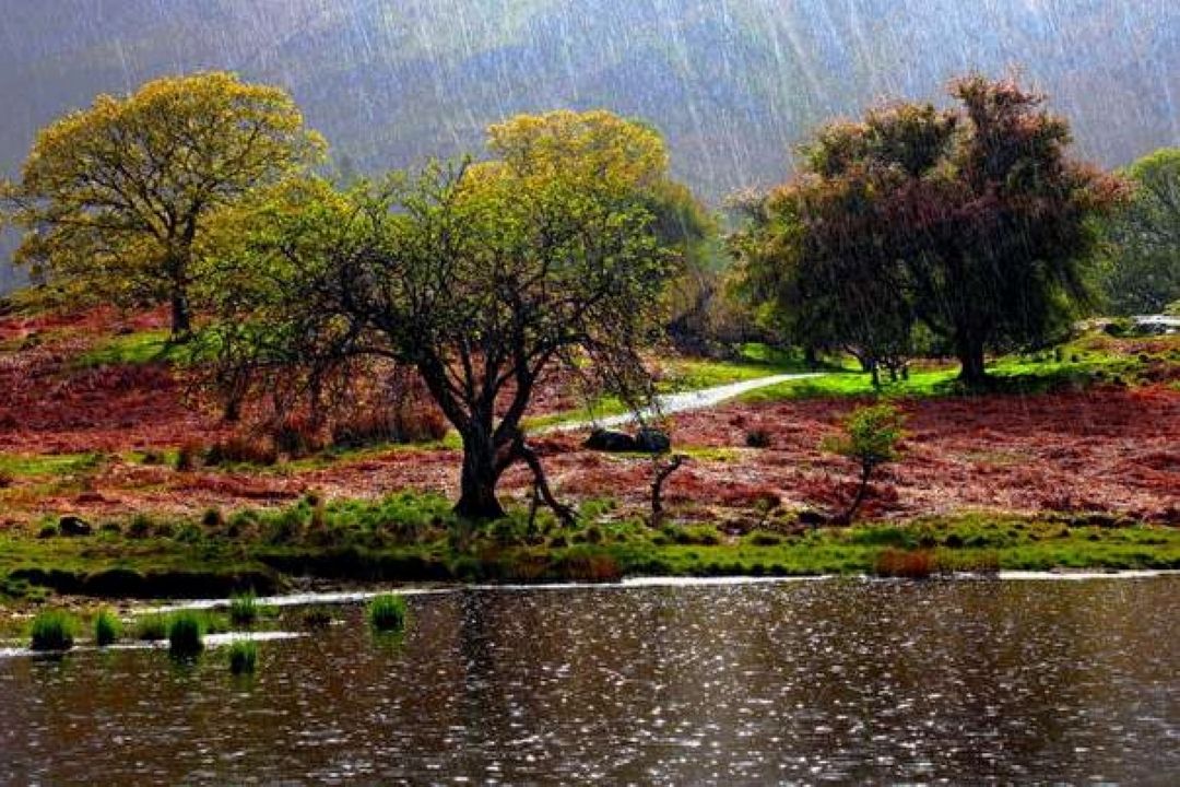 ادامه بارش‌ها در نوار شمالی