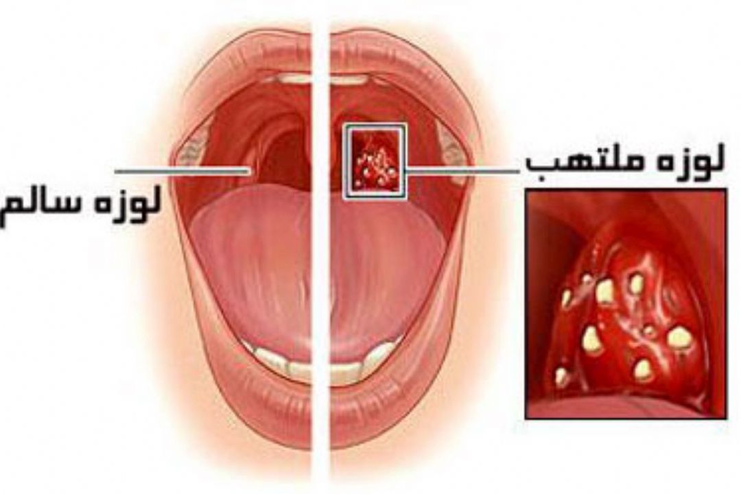 نبض 96/02/05