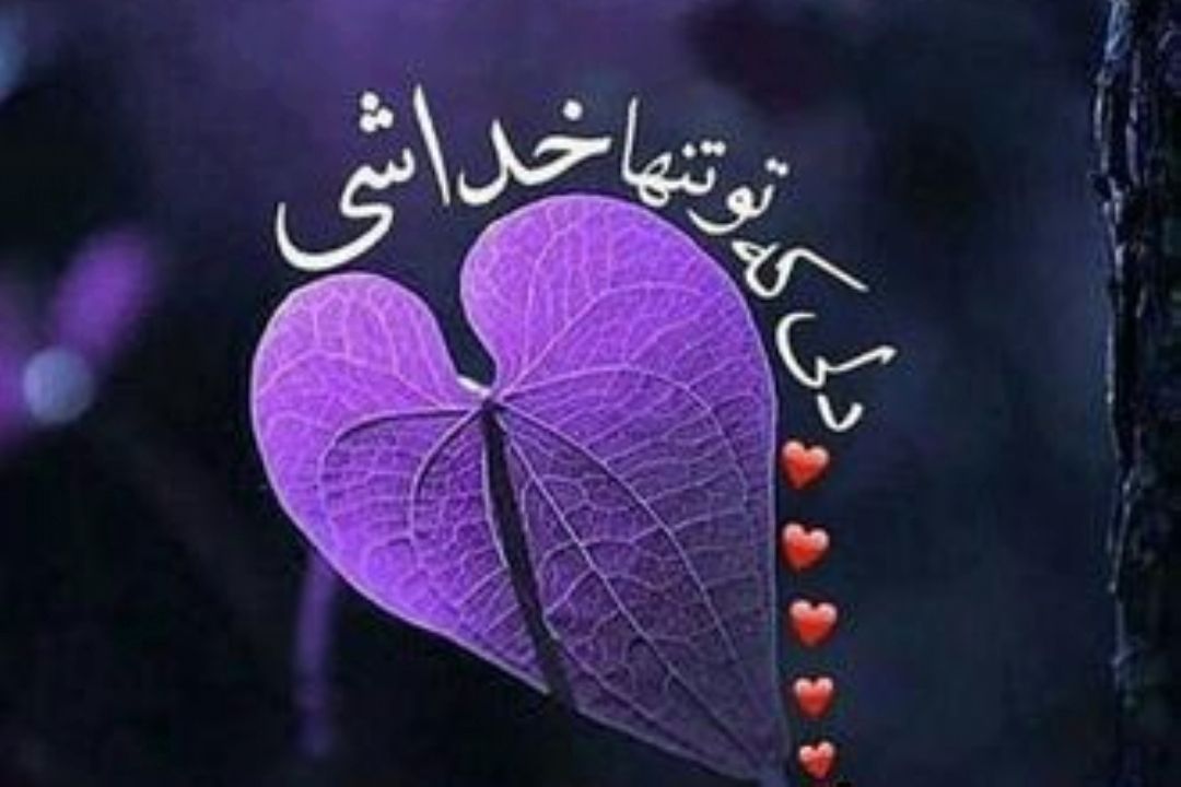 به افق ماه 
