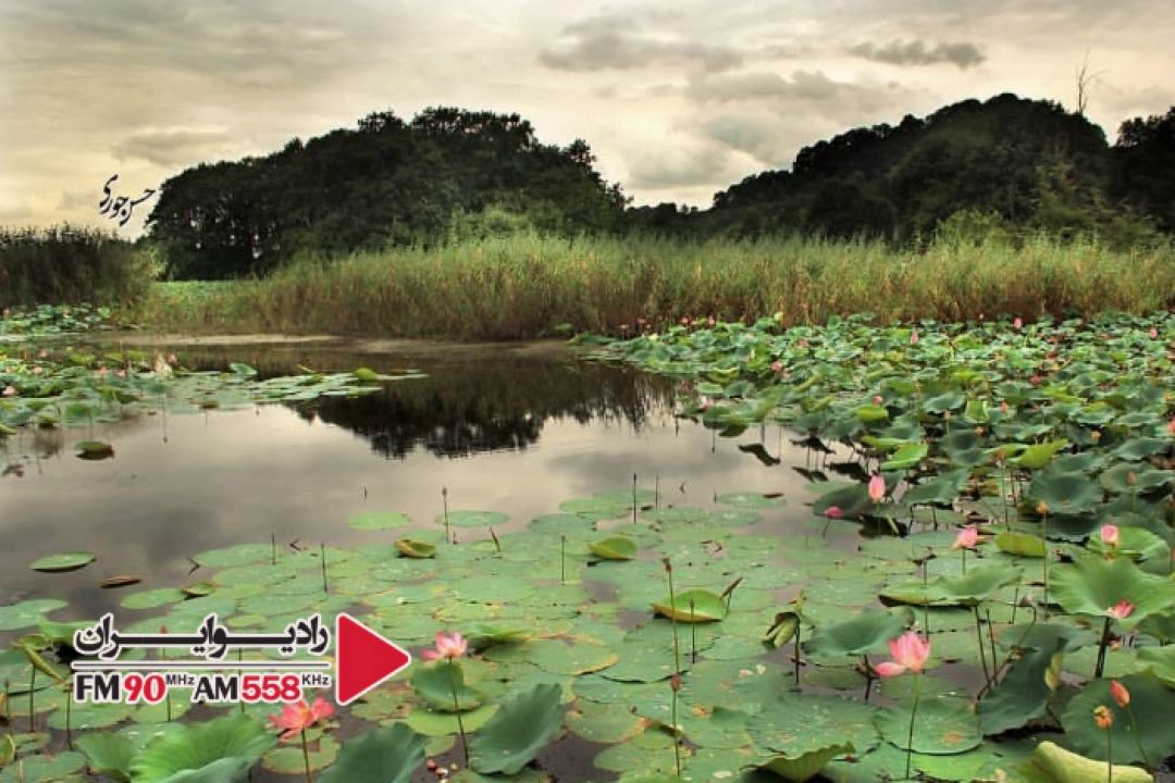 تالاب سوستان پذیرای گردشگران فراوان