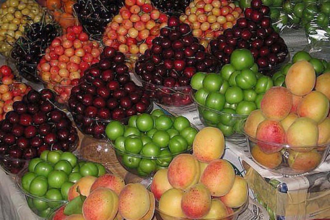 میوه های نوبرانه روی ریل ارزانی