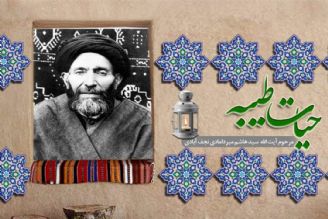 شرحی بر حیات طیبه آیت الله  سید هاشم میردامادی