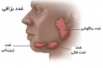 در برنامه نبض سه شنبه بیست و یكم آبان درباره تغییر ترشحات بزاقی و زخم پای دیابتی صحبت شد