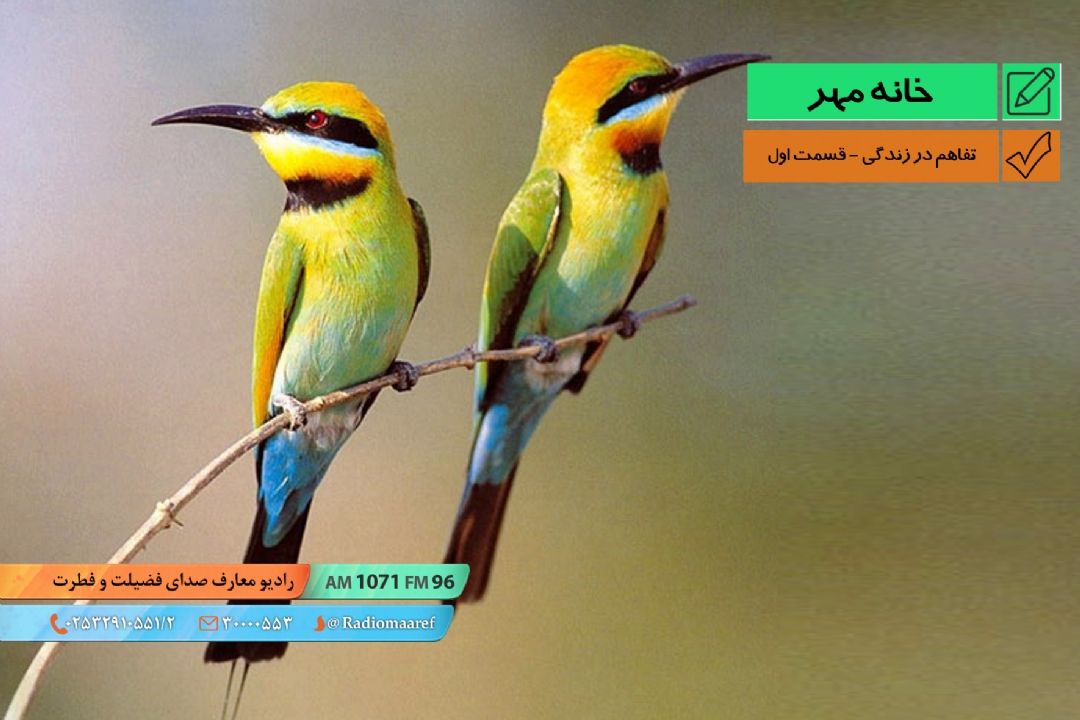 تفاهم در زندگی - قسمت اول