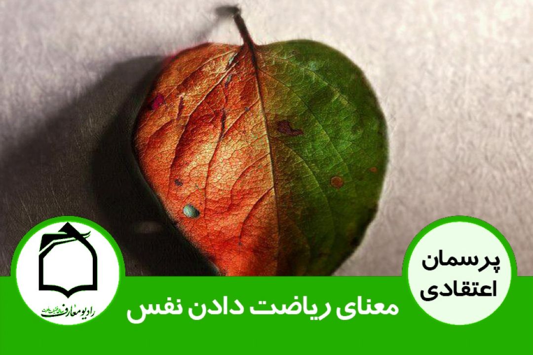 معنای ریاضت دادن نفس