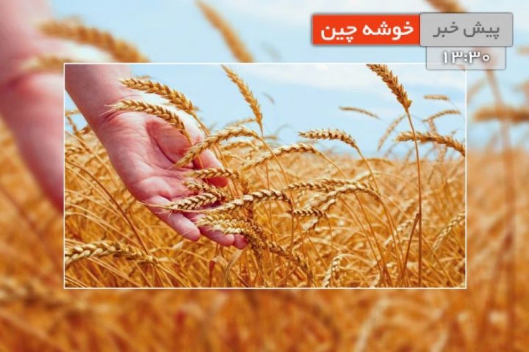 مهمترین برنامه های سازمان در هفته منابع طبیعی