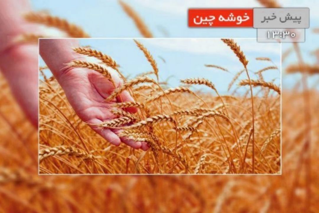 مشاركت مردم در پروژه های آبخیزداری