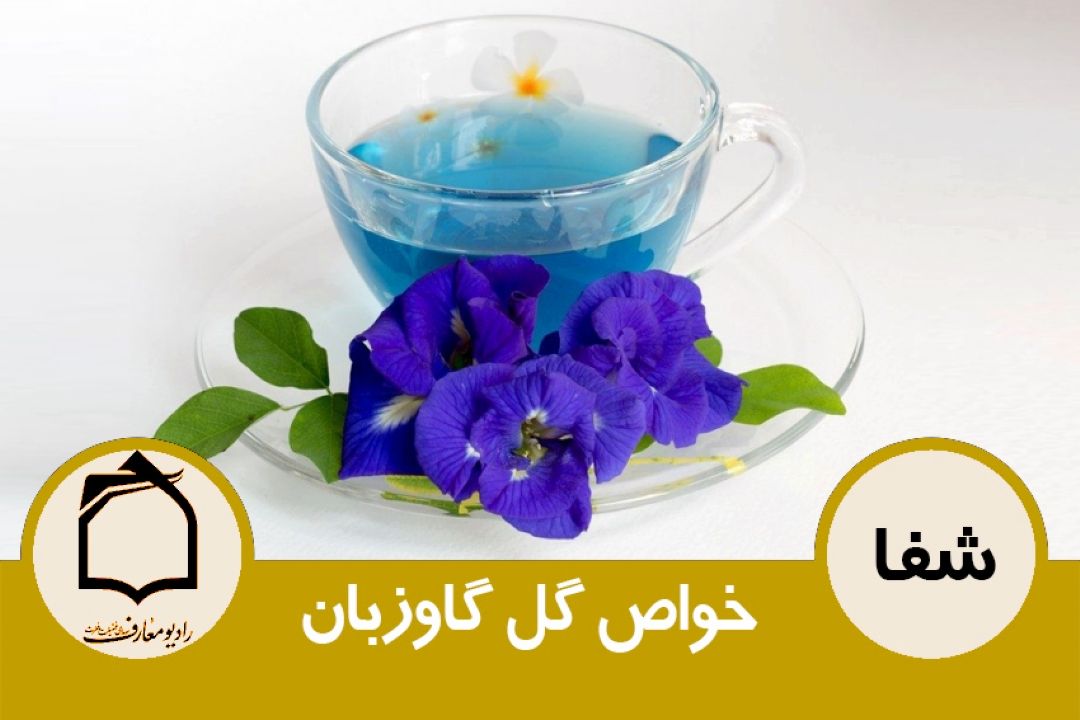 خواص گل گاوزبان