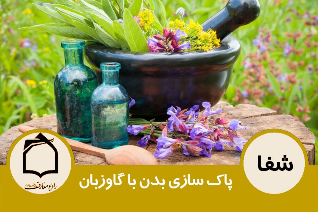 پاك سازی بدن با گاوزبان