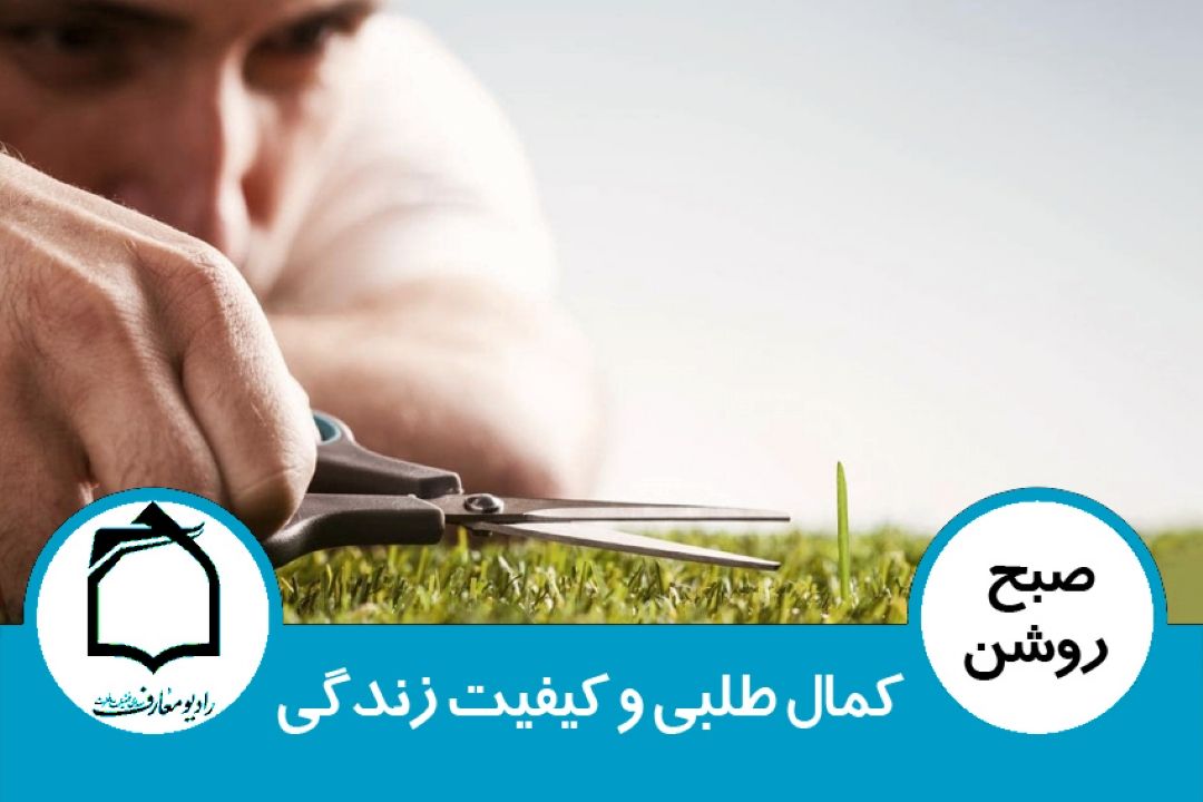 كمال طلبی و كیفیت زندگی