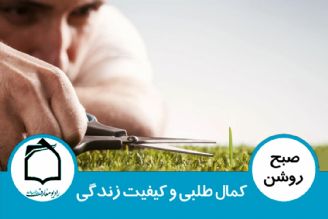 كمال طلبی و كیفیت زندگی