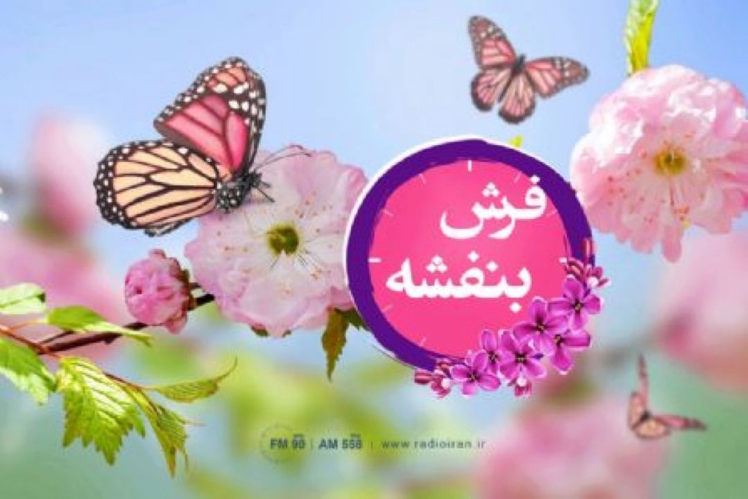 تو زین معانی چرا ندانی كه زندگانی آنی و فانی است