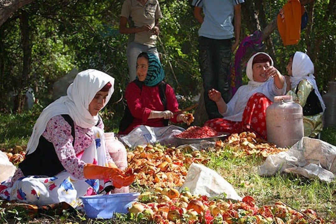 ورود شهرها به طرح اشتغال زایی روستایی چالش زا است