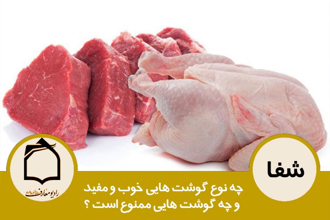 چه نوع گوشت هایی خوب و مفید و چه گوشت هایی ممنوع است؟