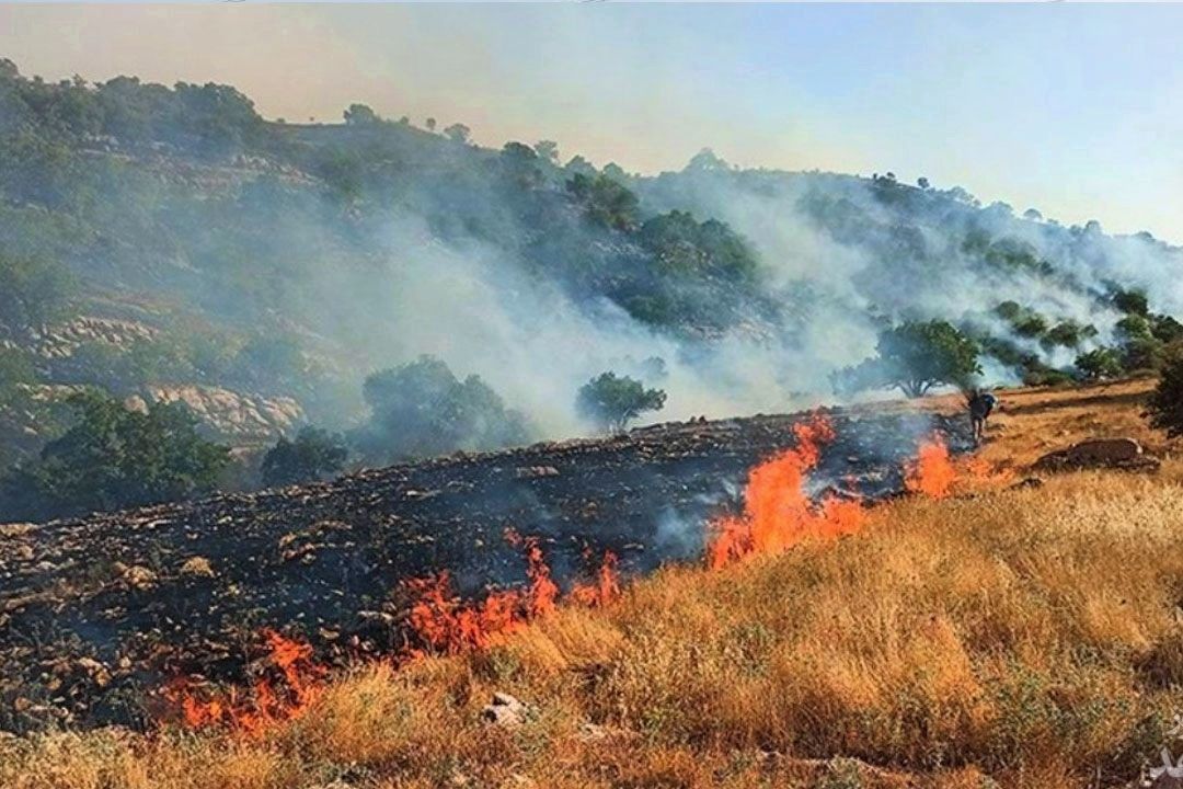 حریق جنگل خاییز كنترل شده است